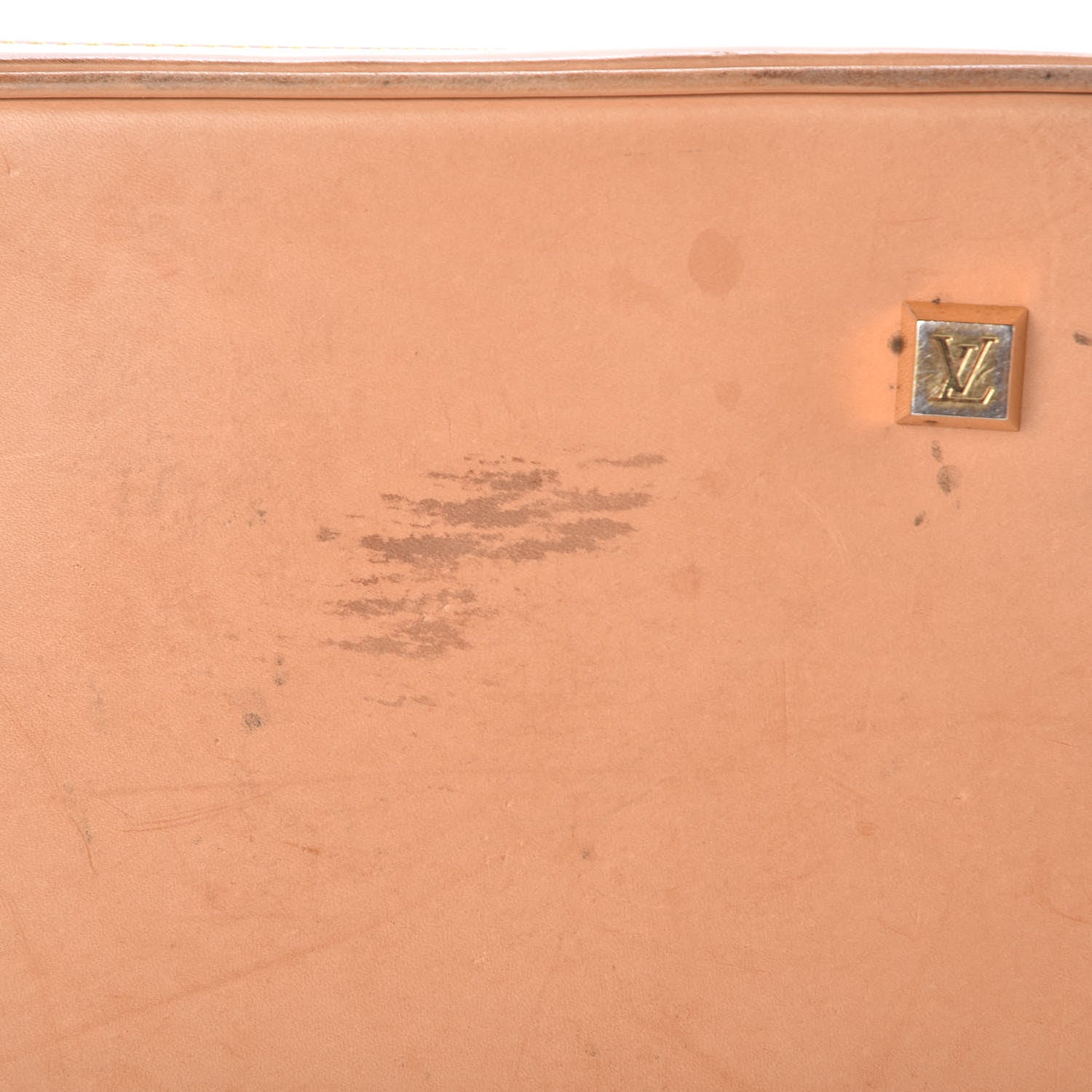Louis Vuitton Vinyl Cabas Sac Ambre GM 14 of 17