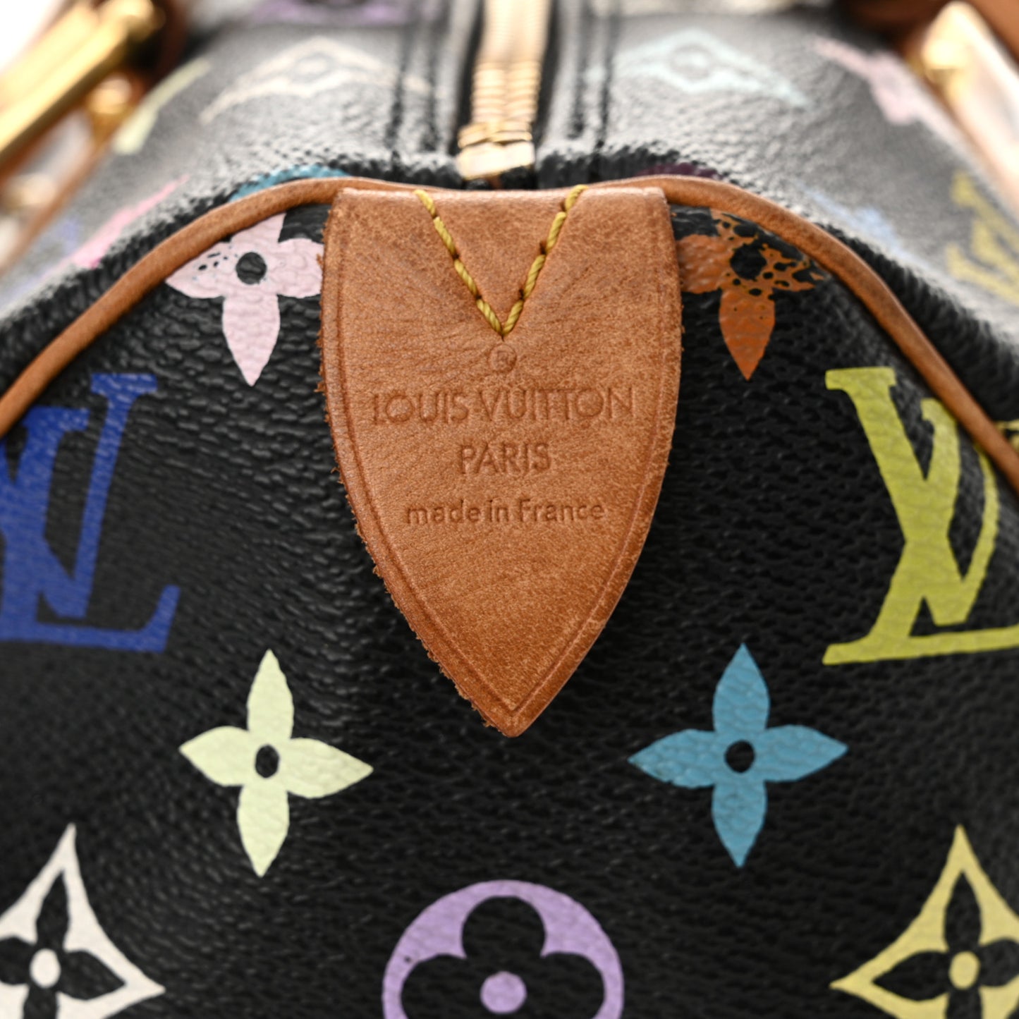 Monogram Multicolor Speedy 30 Black