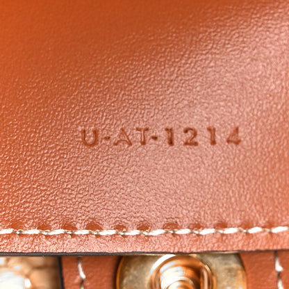 Celine Raffia Calfskin Triomphe Nano Panier Tan 7 of 12