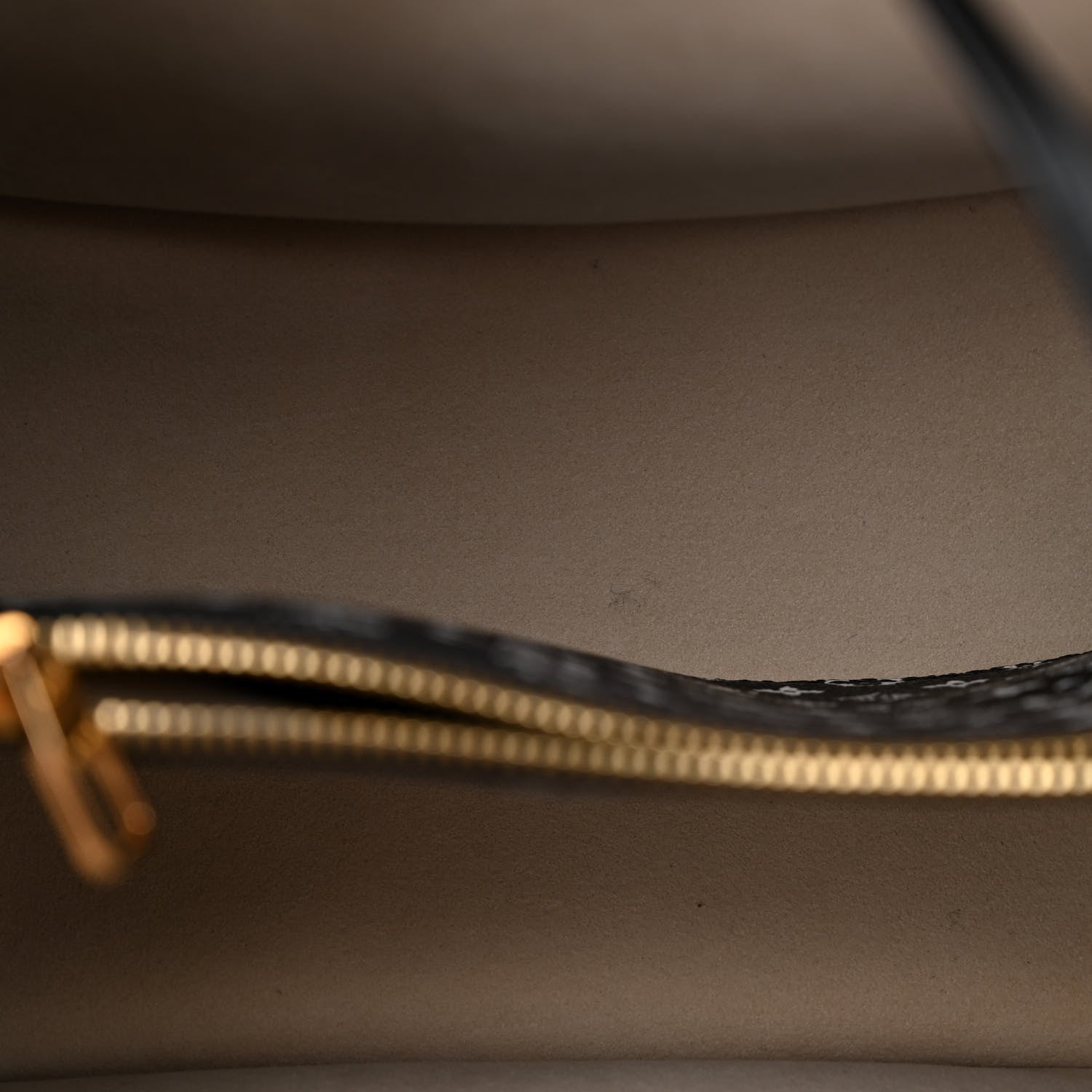 Louis Vuitton LOUIS VUITTON Monogram Giant Jungle NéoNoé Ivory 5 of 10