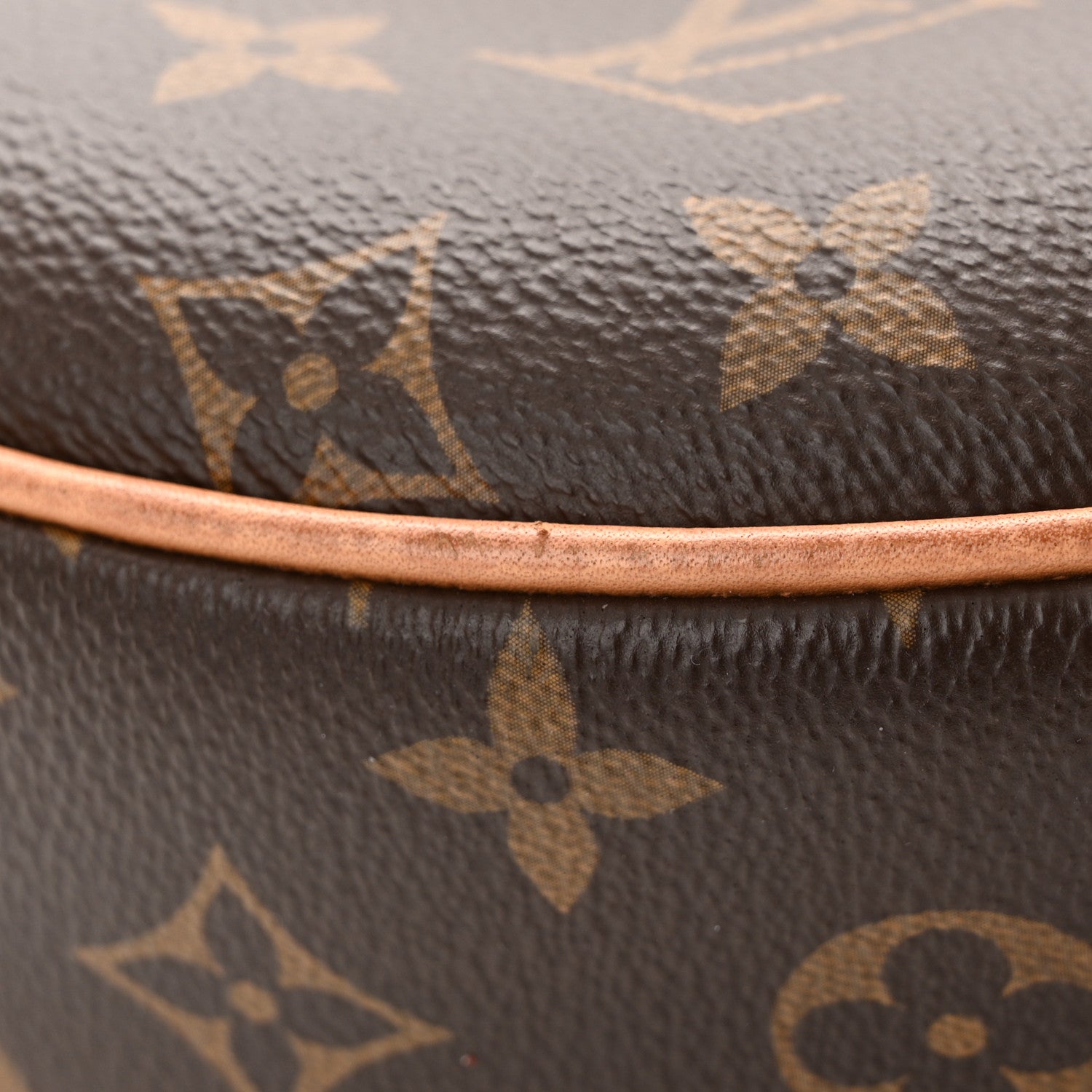 Louis Vuitton Monogram Loop 10 of 17
