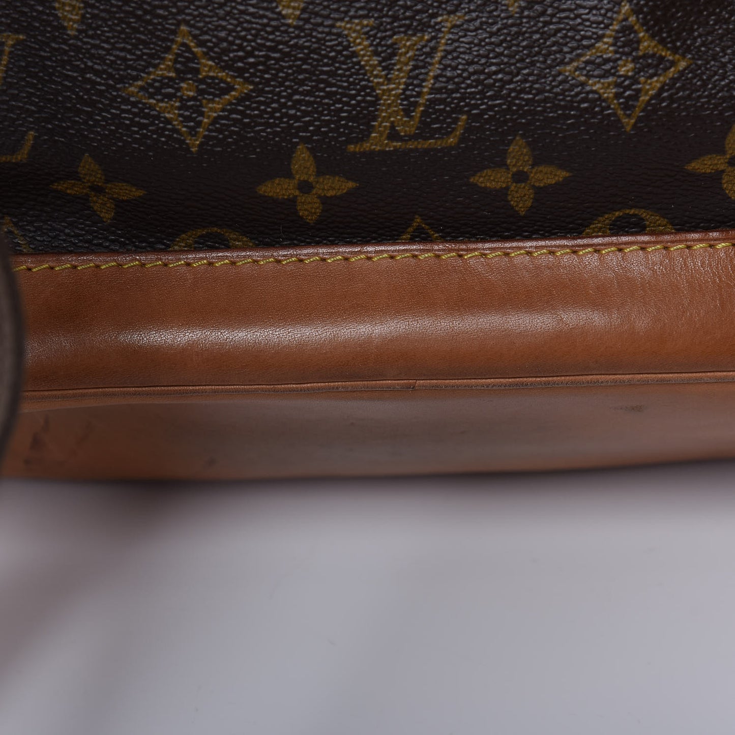 Monogram Montsouris GM Backpack