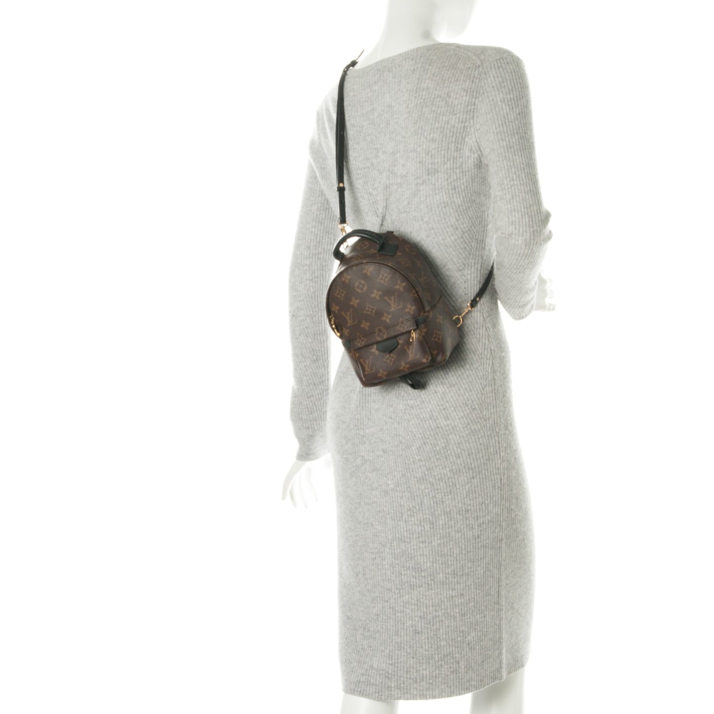 Monogram Palm Springs Backpack Mini