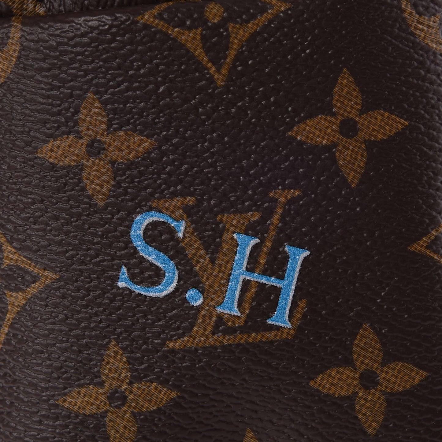 Monogram My World Tour Palm Springs Backpack Mini