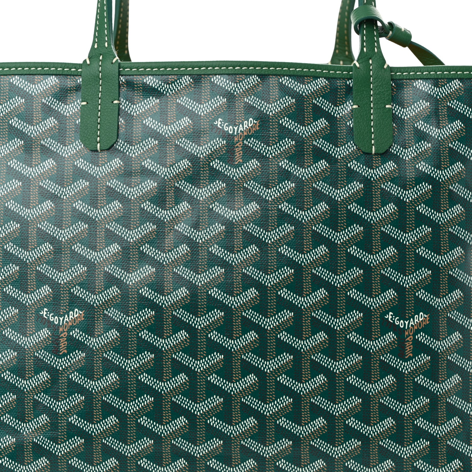 Goyard Goyardine Saint Louis PM Green 9 of 11