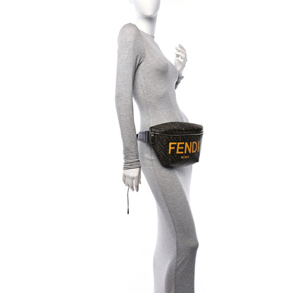 Fendi Shiny Glazed Fabric Vitello Cover FF 1974 Logo Belt Bag Tobacco Moro Giallo Ebano 2 of 11
