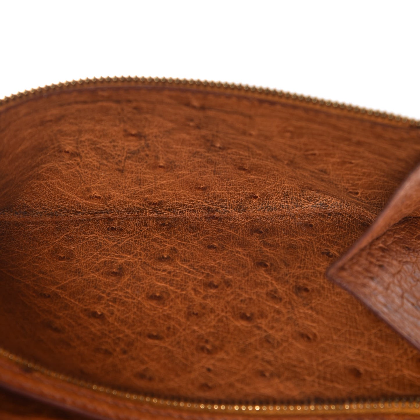 Ostrich Bearn Wallet Gold