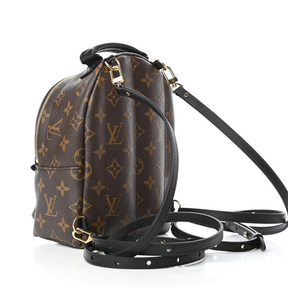 Louis Vuitton Monogram Palm Springs Backpack Mini 2 of 4