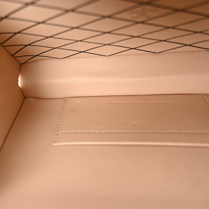 Louis Vuitton Calfskin Graphic Print Petite Malle 10 of 10