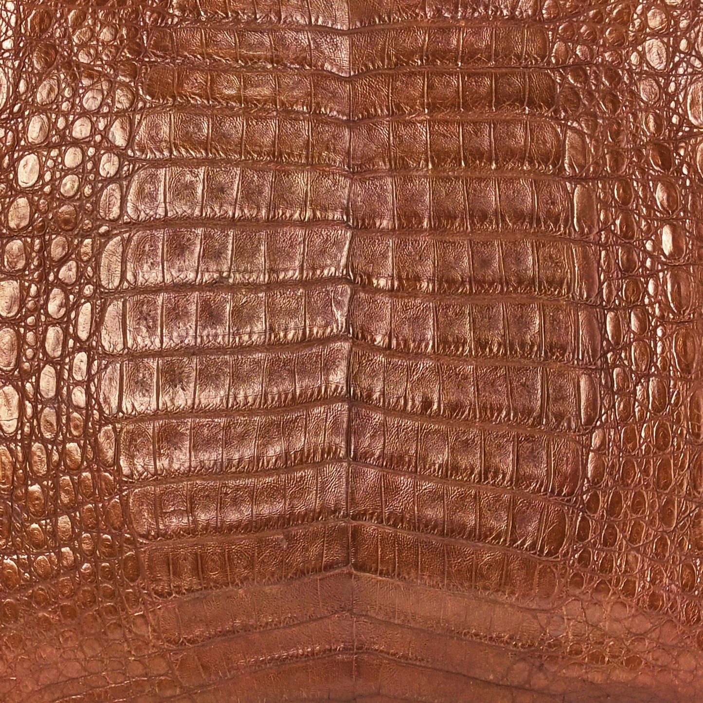 Crocodile Tote Brown