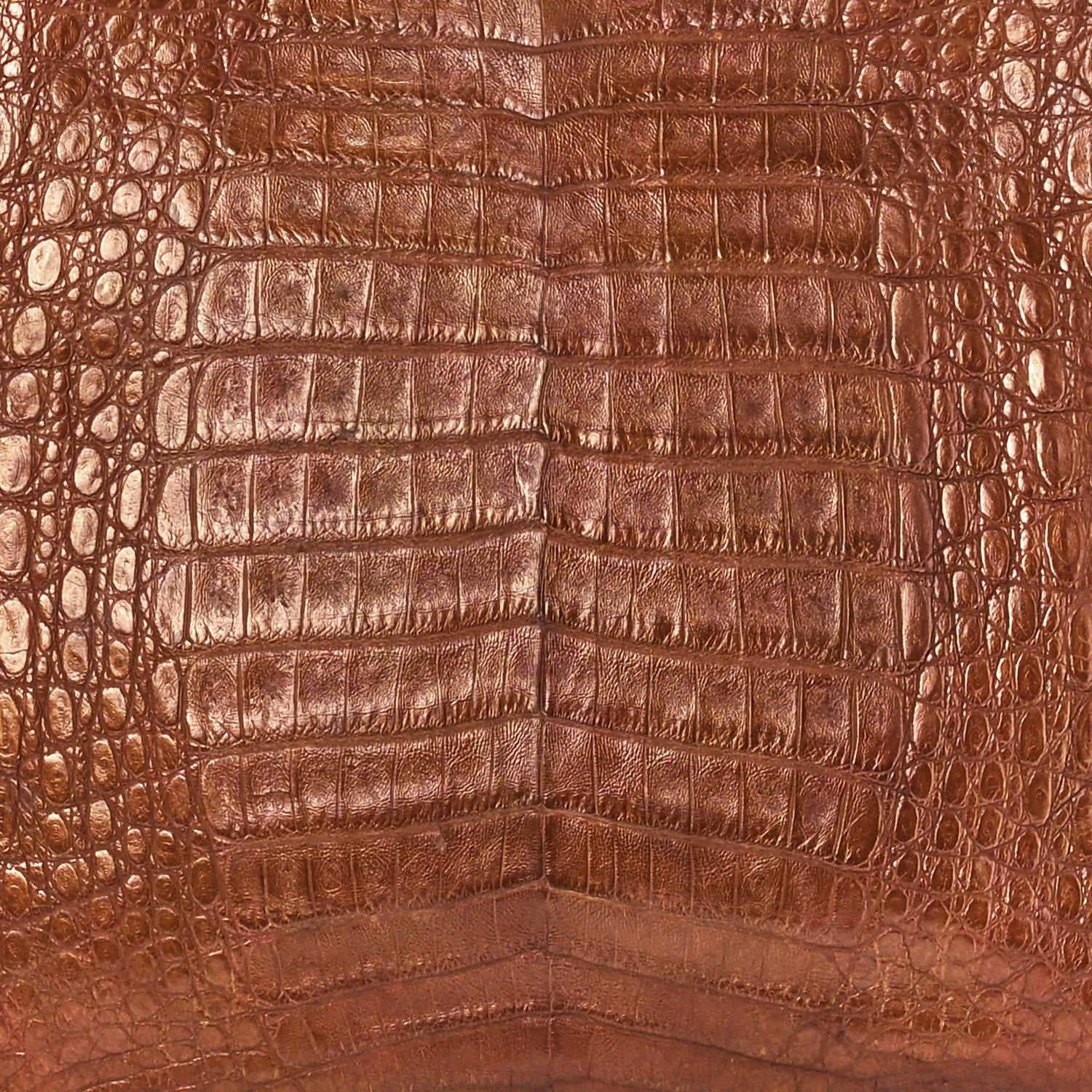 Nancy Gonzalez Crocodile Tote Brown 8 of 12