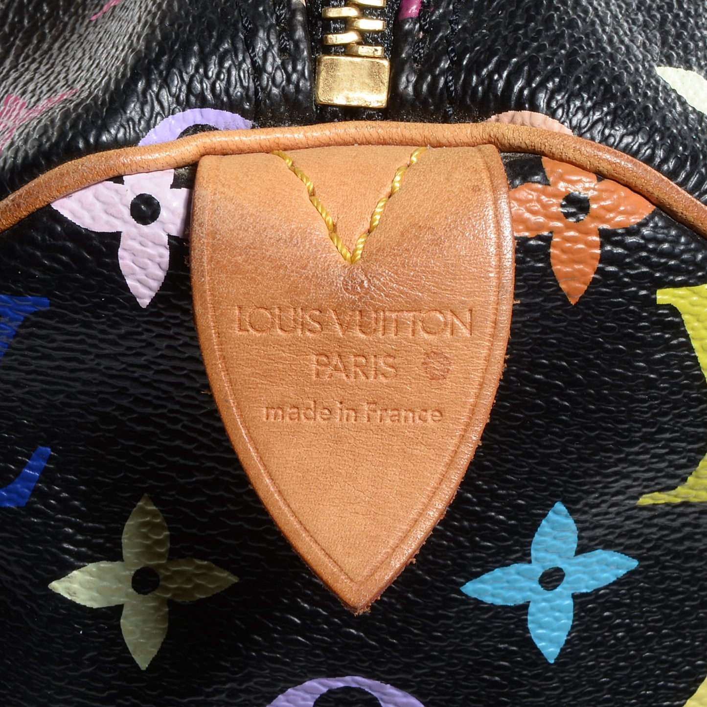 Monogram Multicolor Speedy 30 Black