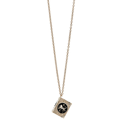 Chanel Metal CC Lion Book Locket Necklace Gold 1 of 5