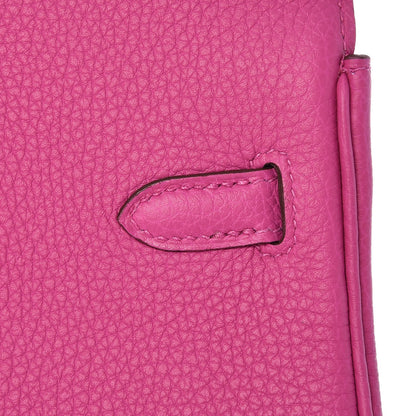 Hermes Togo Birkin 25 Magnolia 13 of 33