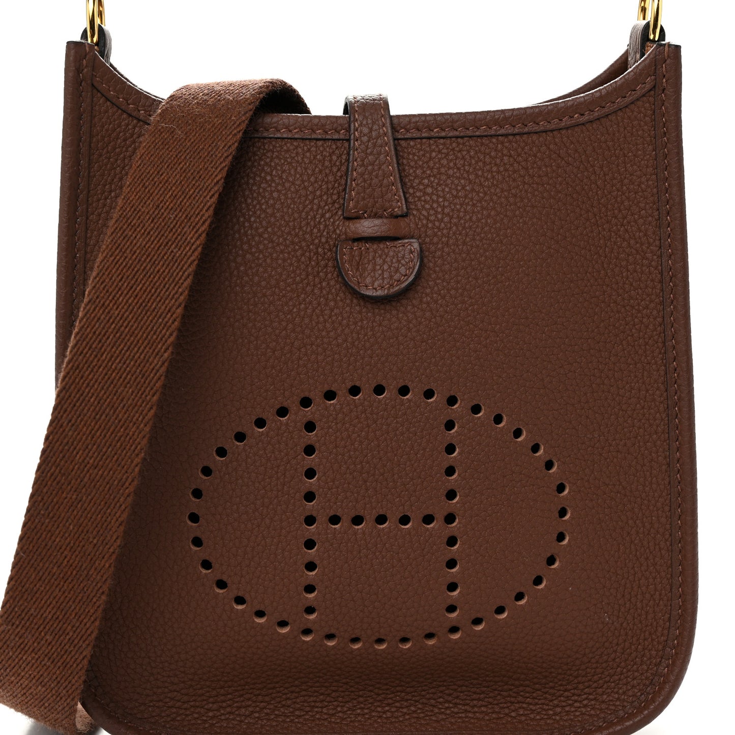 Taurillon Maurice Evelyne TPM Cacao