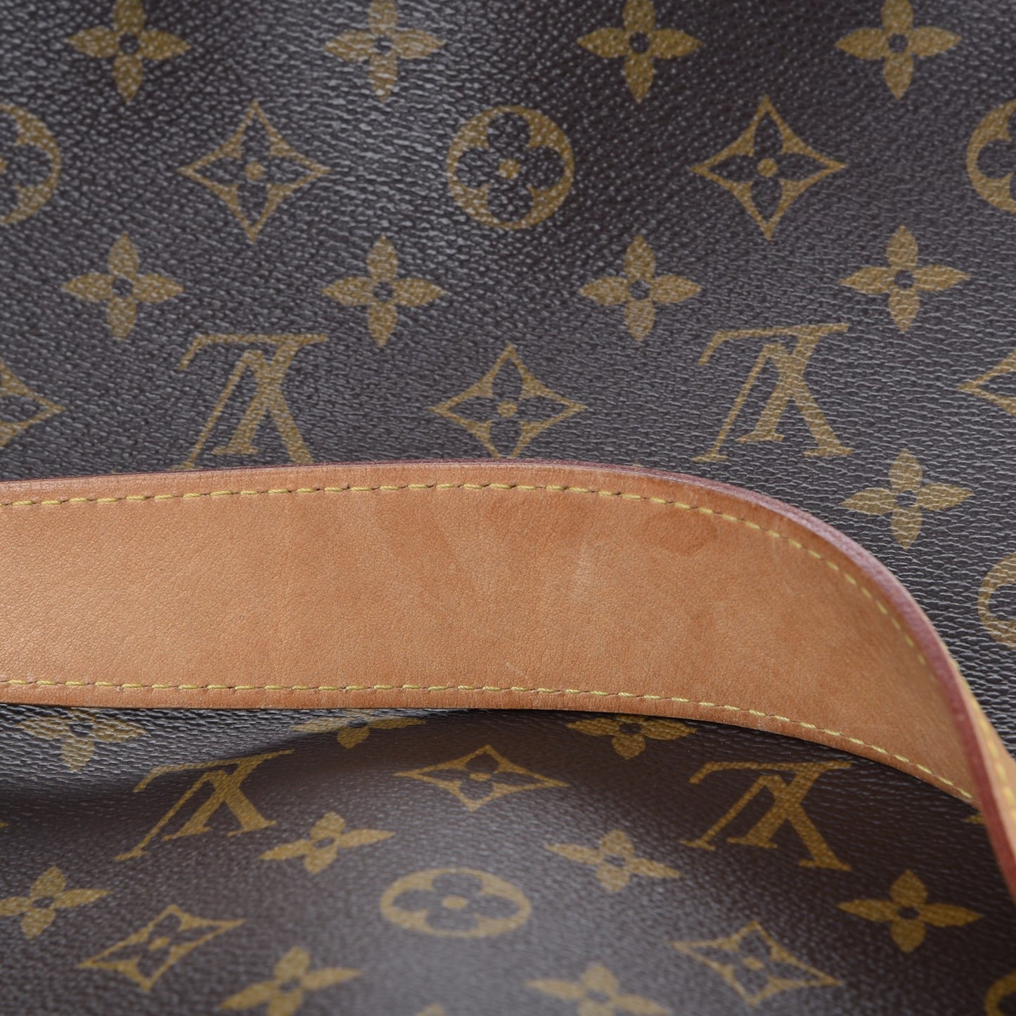 Monogram Delightful MM
