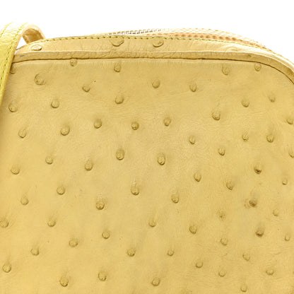 The Row Ostrich Lizard Mini Twin Crossbody Bag Yellow 8 of 10