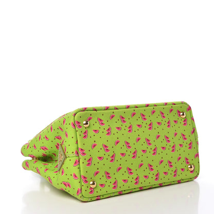 Prada Canapa Watermelon Print Small Logo Tote Erba 5 of 14