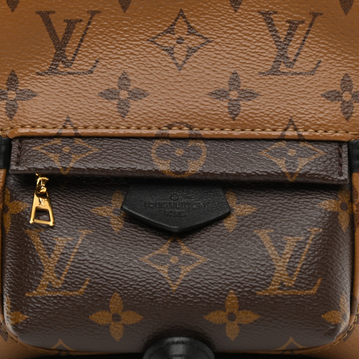 Reverse Monogram Palm Springs Backpack Mini