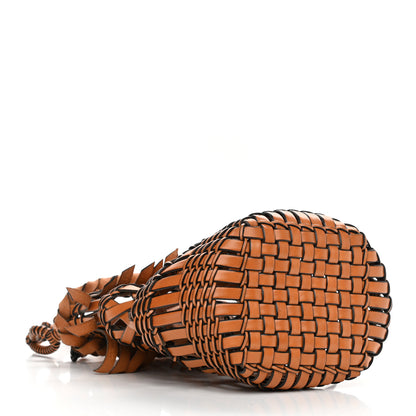 Loewe Calfskin Fringe Woven Small Bucket Bag Tan 4 of 9