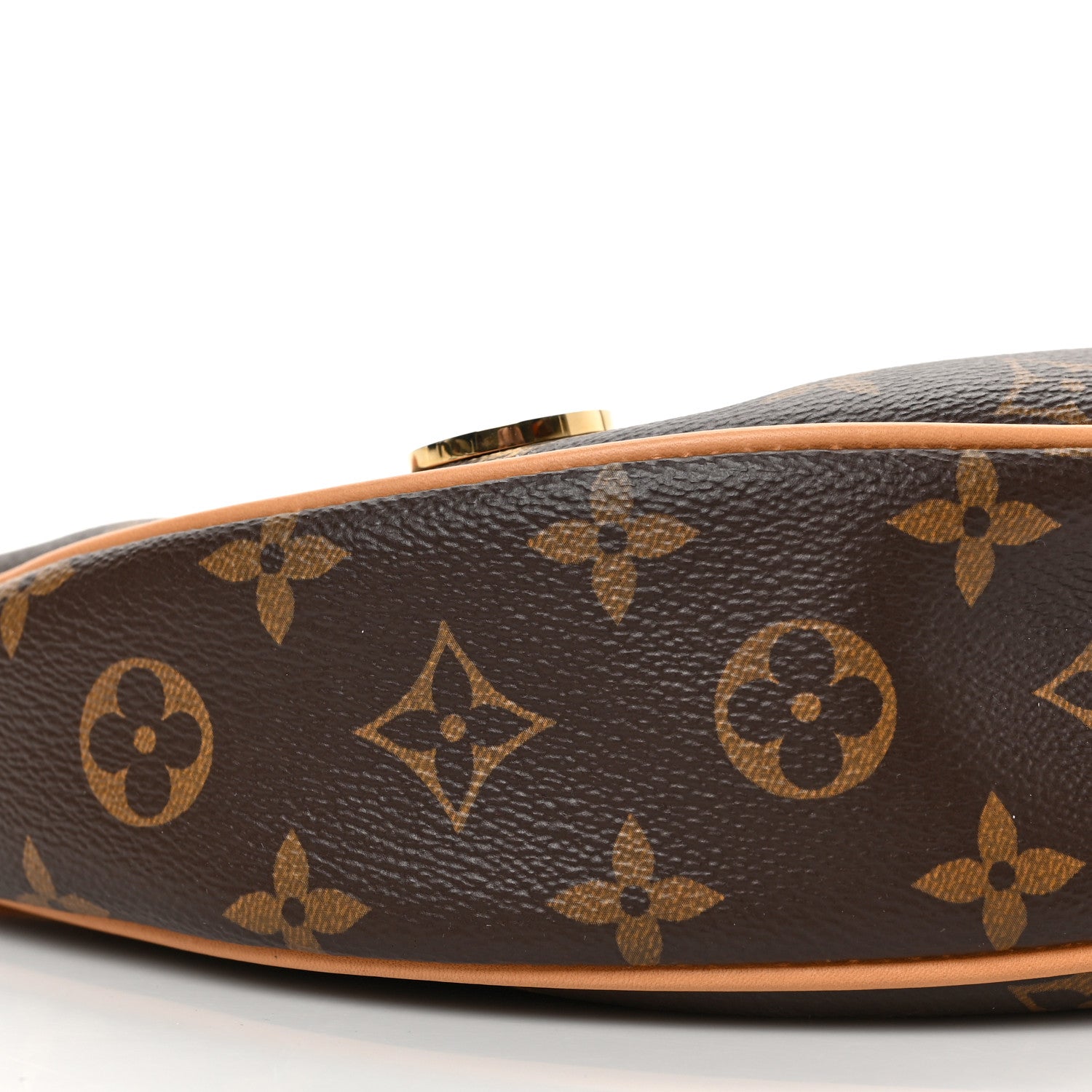 Louis Vuitton Monogram Loop 7 of 8