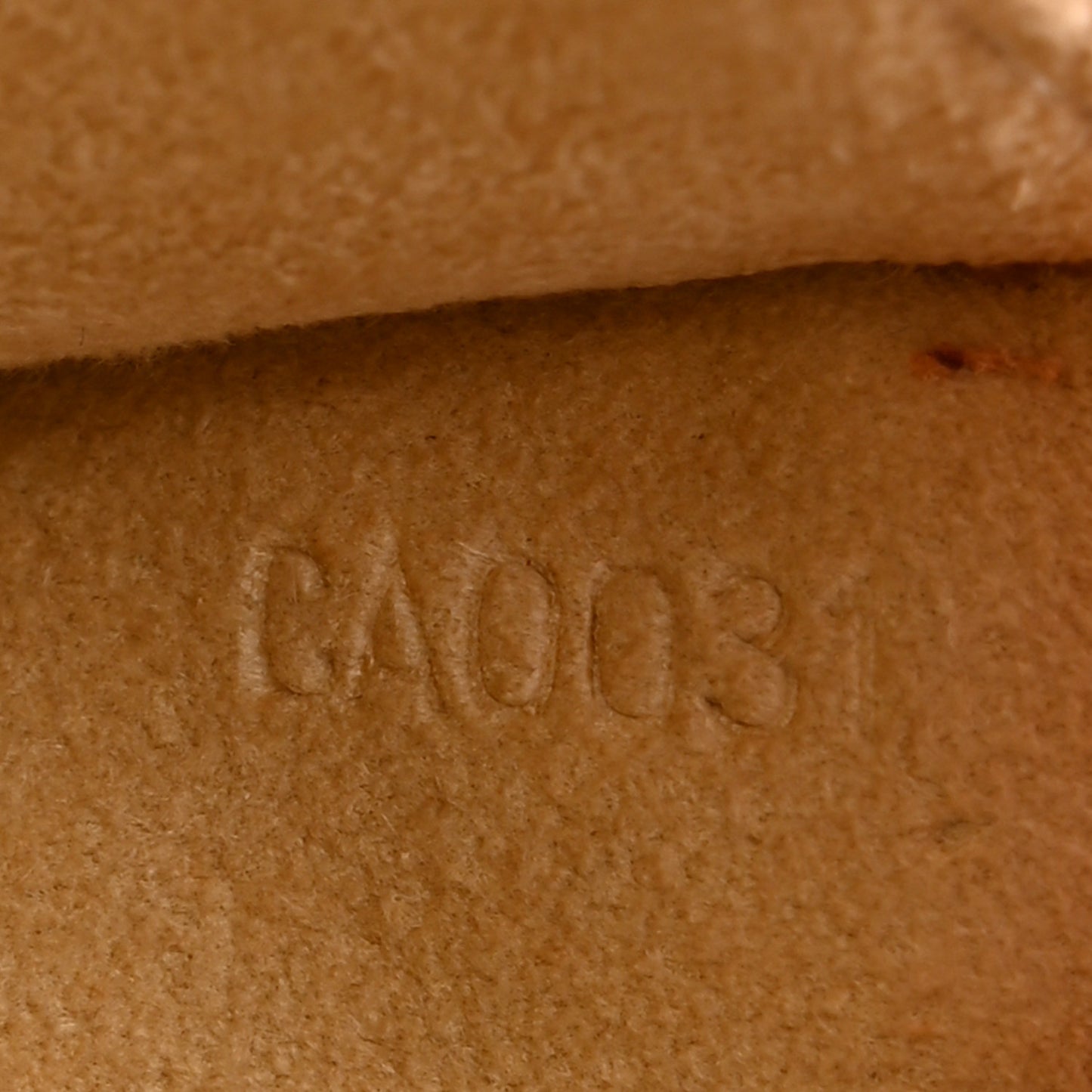 Monogram Pochette Twin PM