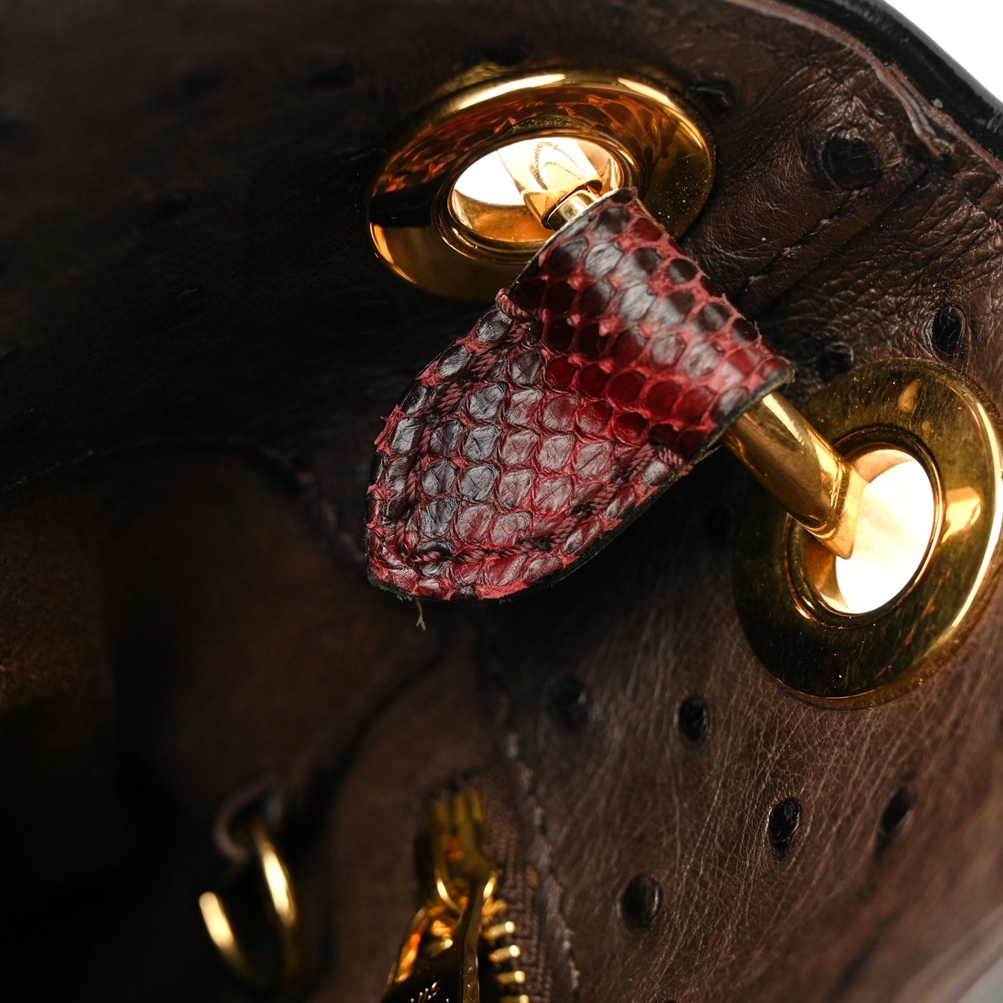 Monogram Etoile Exotique MM Bordeaux