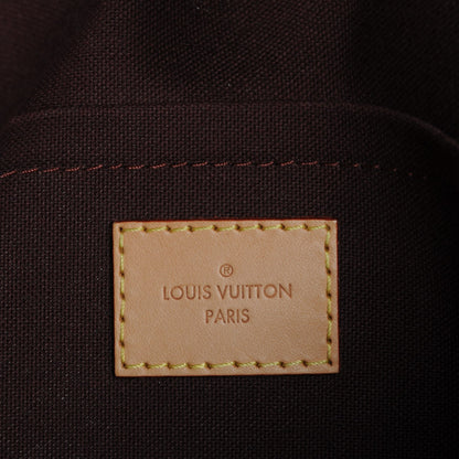 Louis Vuitton Monogram Favorite MM 6 of 9