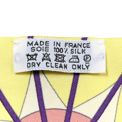 Hermes Silk Rose De Compass Twilly 3 of 4