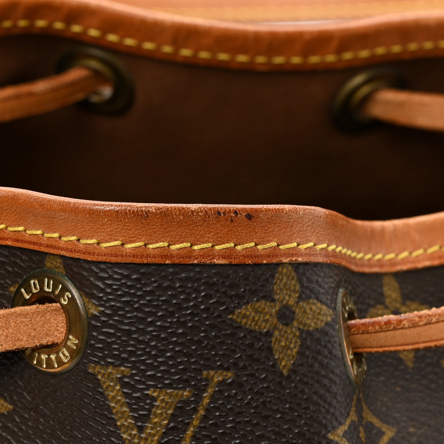 Monogram Petit Noe
