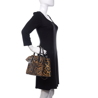Louis Vuitton Canvas Calfskin Wild Animal Print City Steamer EW Marron 3 of 11