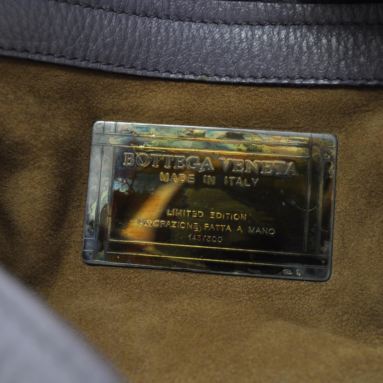 Bottega Veneta Cervo Deerskin and Python Cocker Hobo 7 of 9