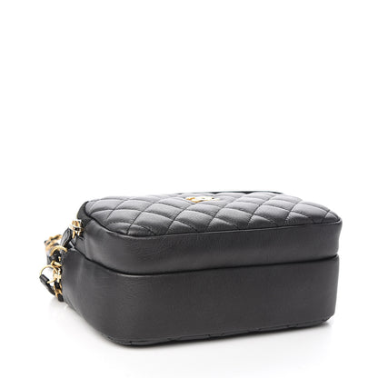 Chanel Calfskin Quilted Day Trips Camera Case Black 3 of 11