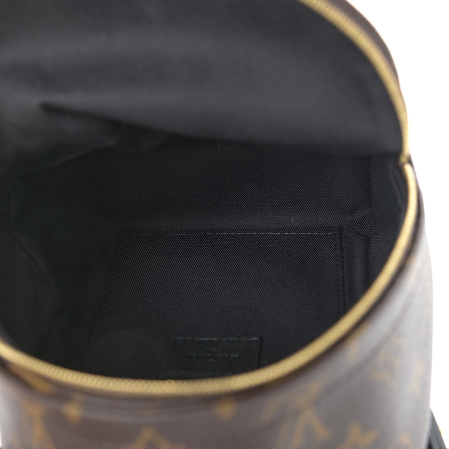 Monogram Palm Springs Backpack Mini