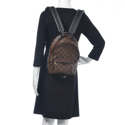 Louis Vuitton Monogram Palm Springs Backpack PM 2 of 9