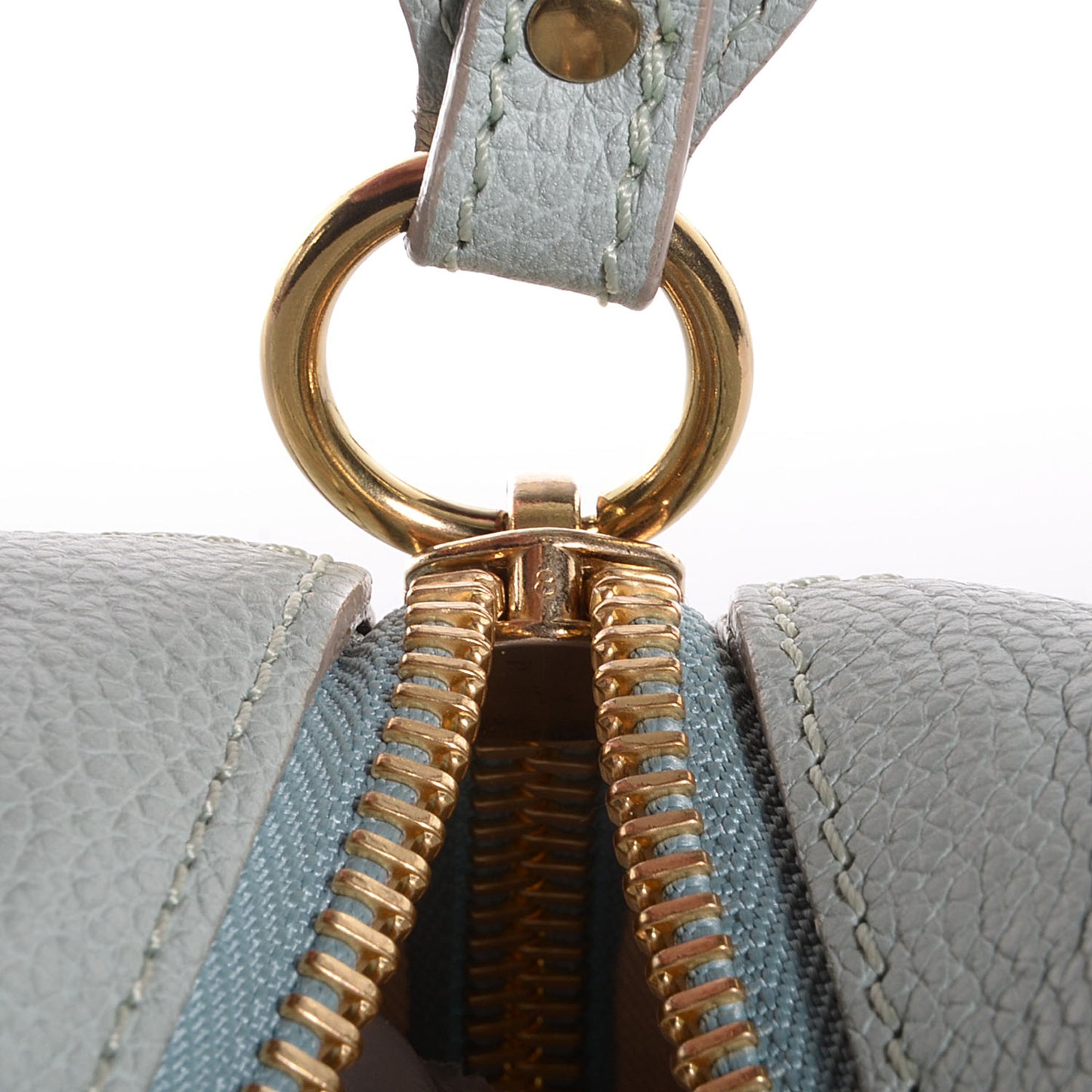 Calfskin Medium Paraty Mint