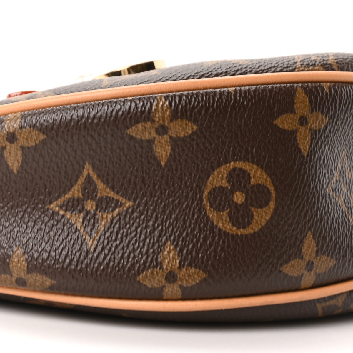 Louis Vuitton Monogram Loop 7 of 8