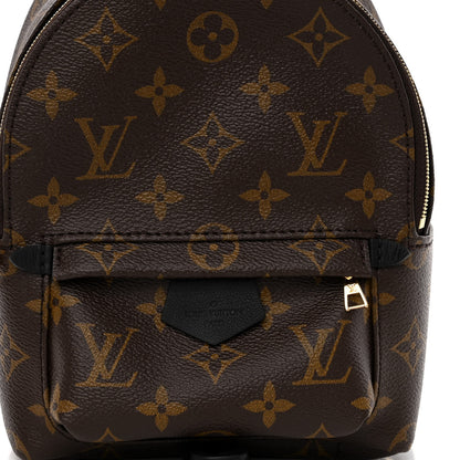 Louis Vuitton Monogram Palm Springs Backpack Mini 7 of 9