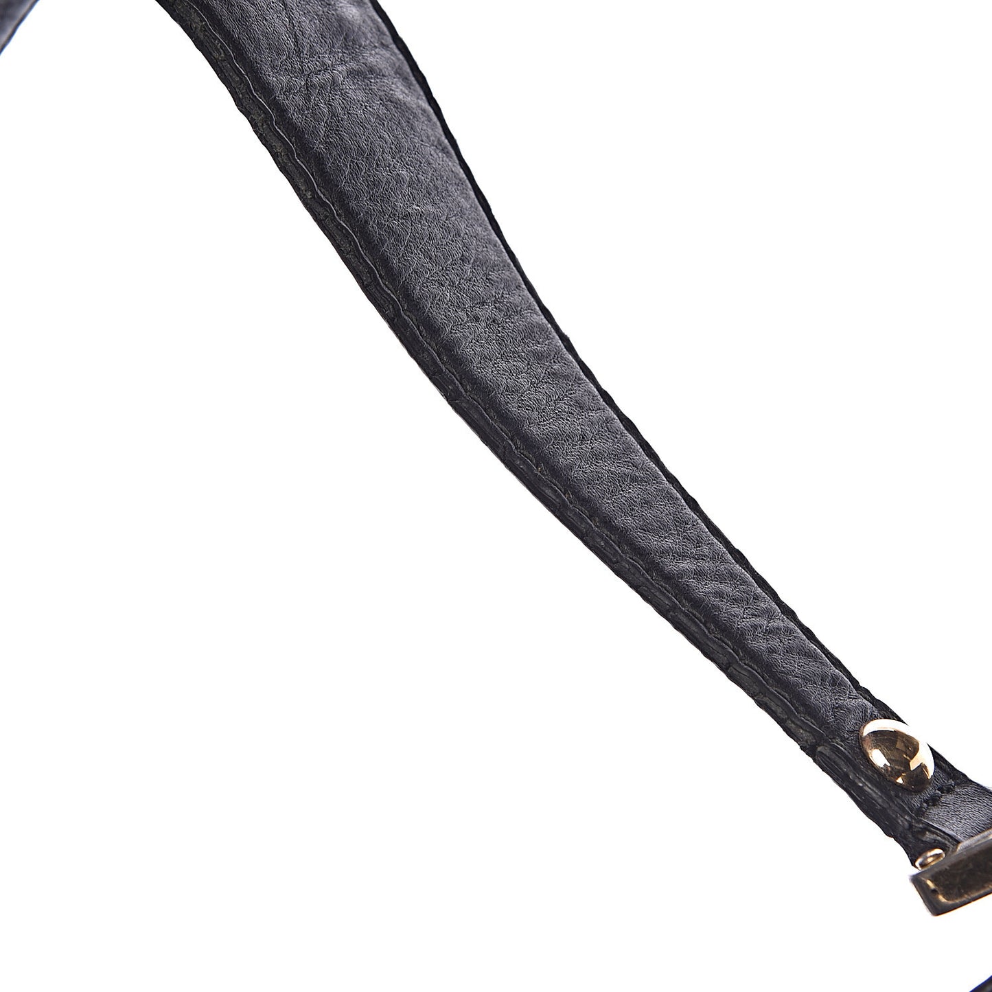Guccissima Large New Ladies Web Hobo Black