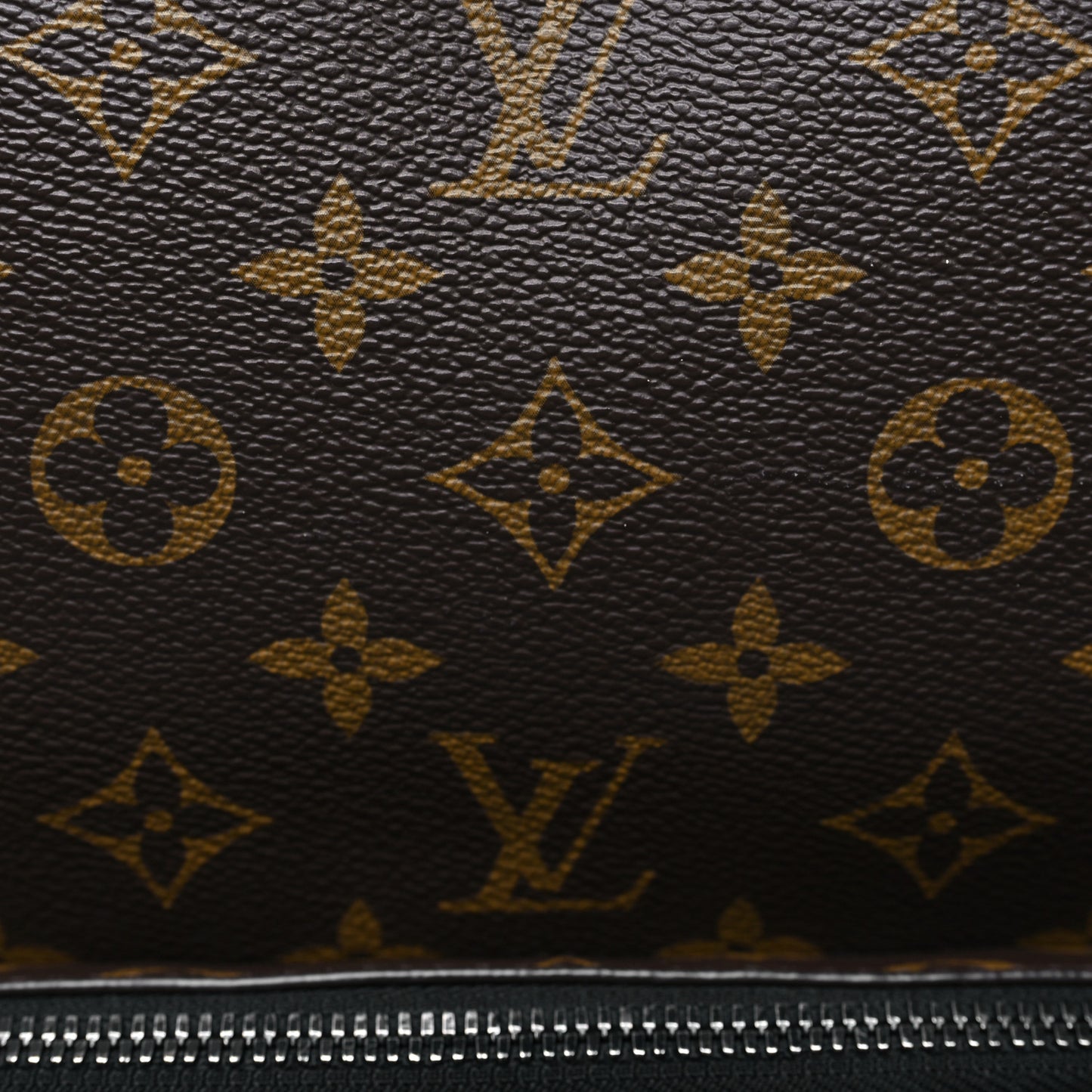 Monogram Macassar Dean Backpack