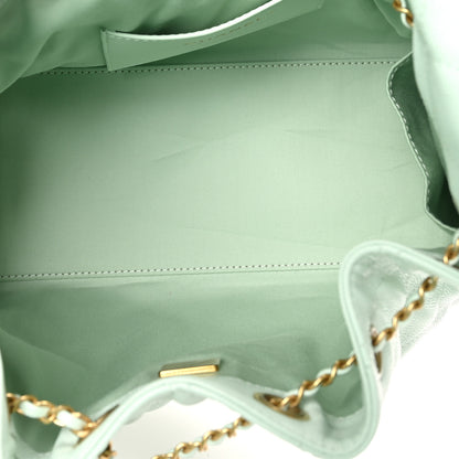 Chanel Caviar Quilted Small Chanel 25 Handbag Light Green 5 of 10