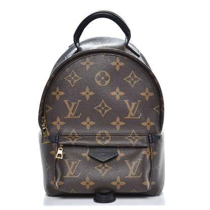 Louis Vuitton Monogram Palm Springs Backpack Mini 1 of 9
