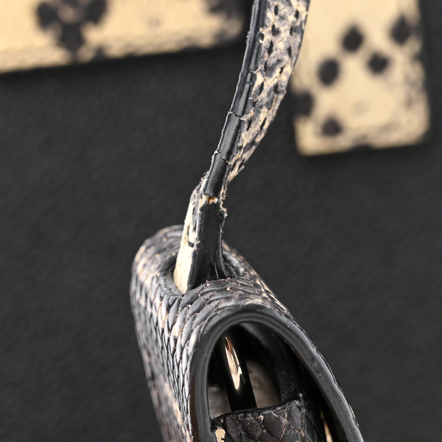 Grained Calfskin Python Embossed Nano Sac De Jour Black