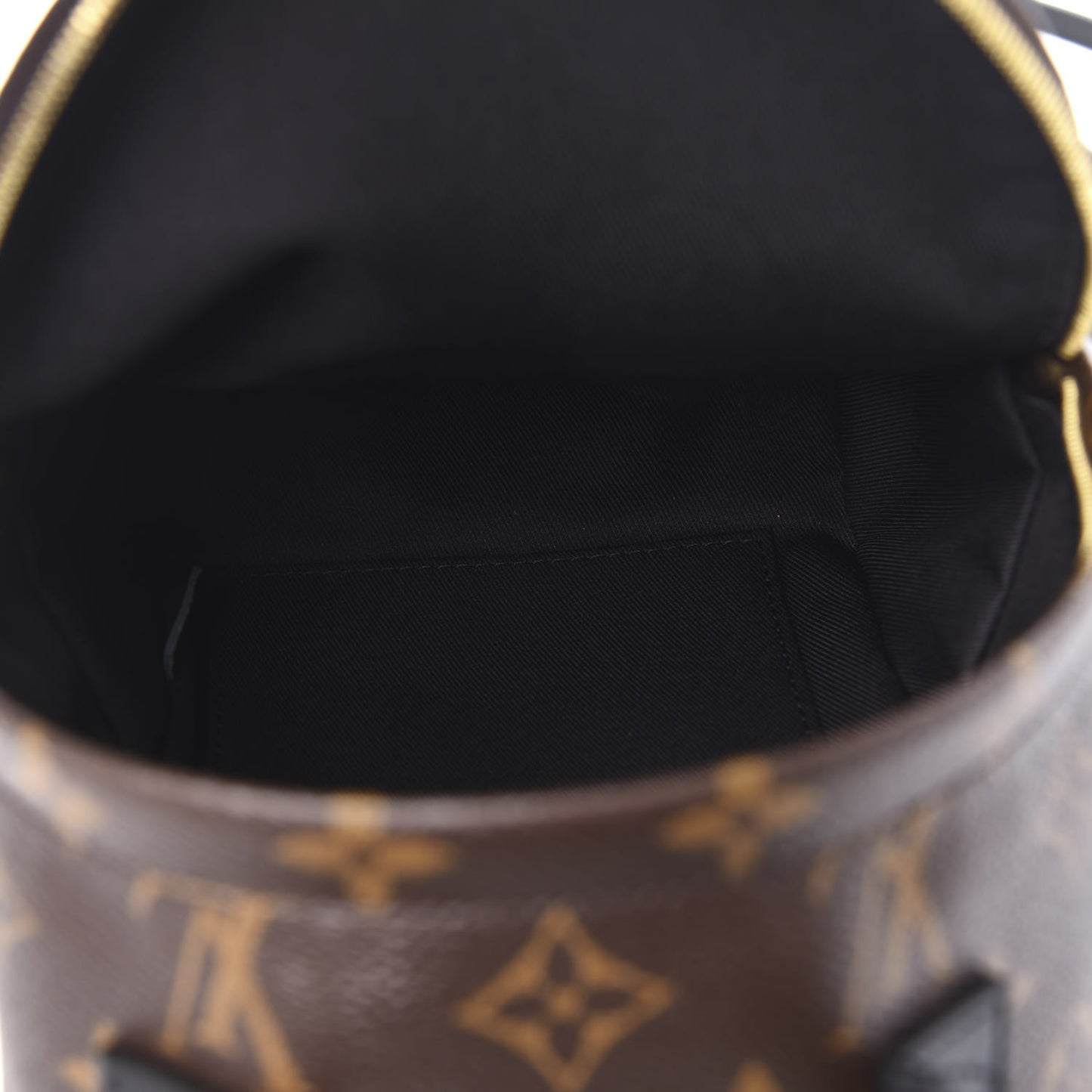 Monogram Palm Springs Backpack Mini