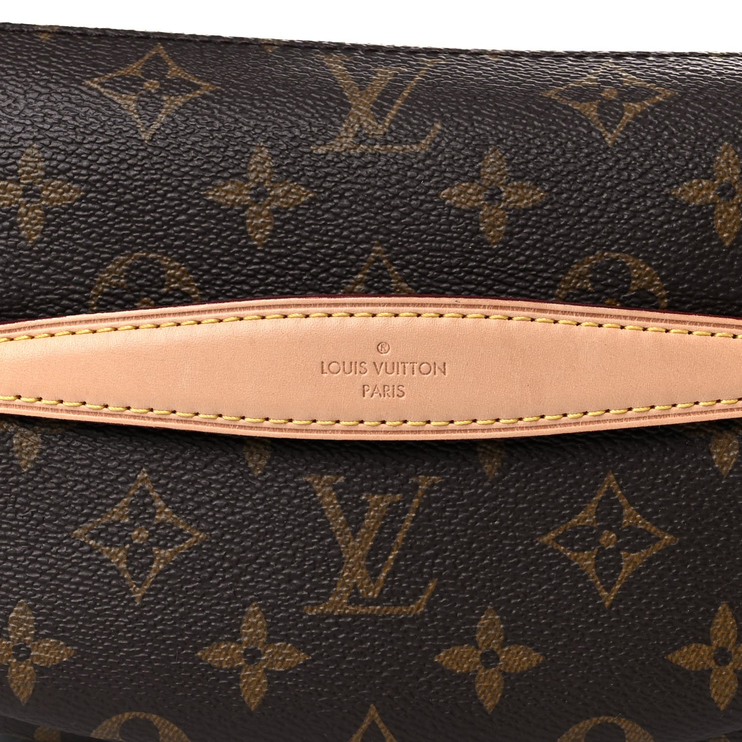 Louis Vuitton Monogram Bumbag 13 of 14