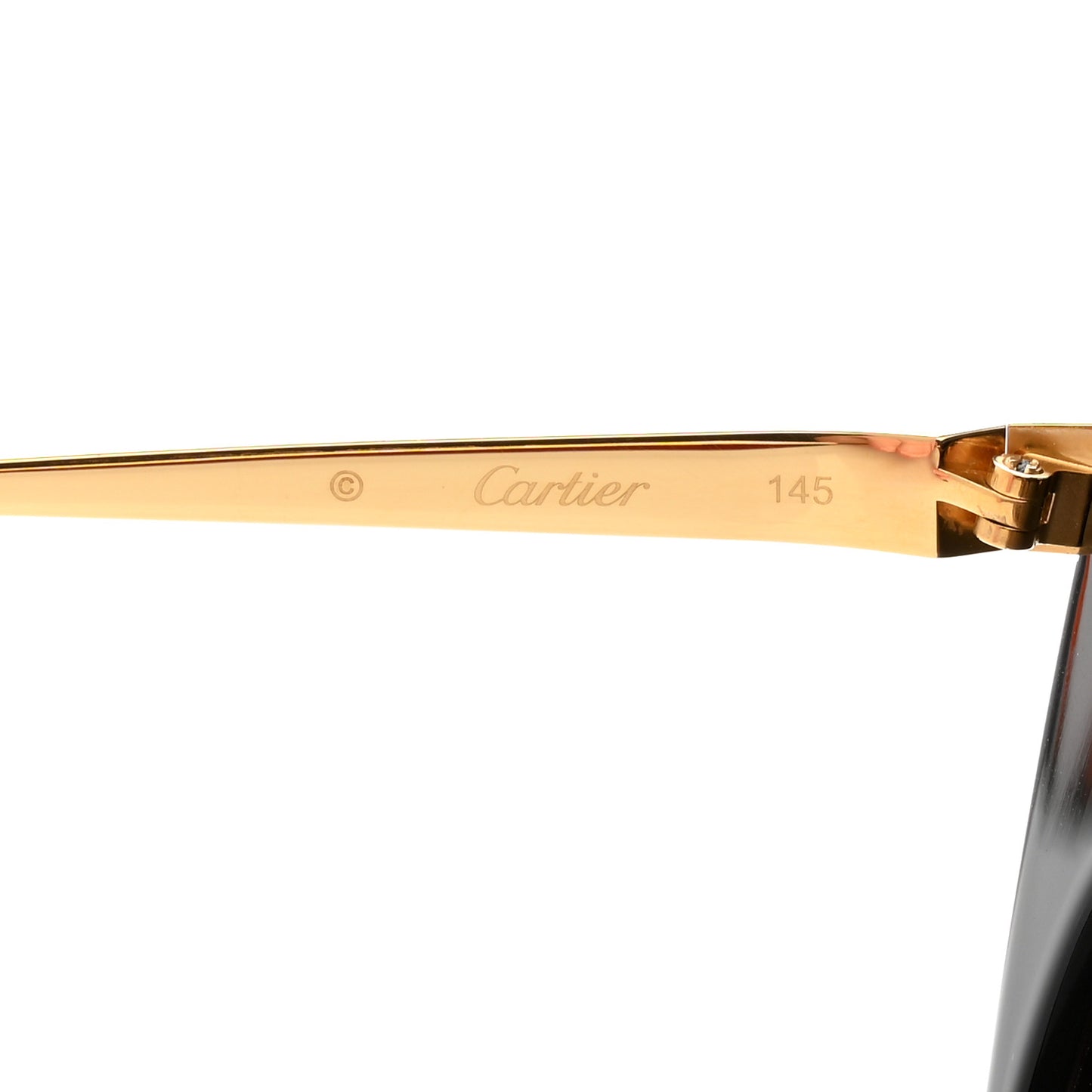 Panthere Wild De Cartier Sunglasses CT0122S Black