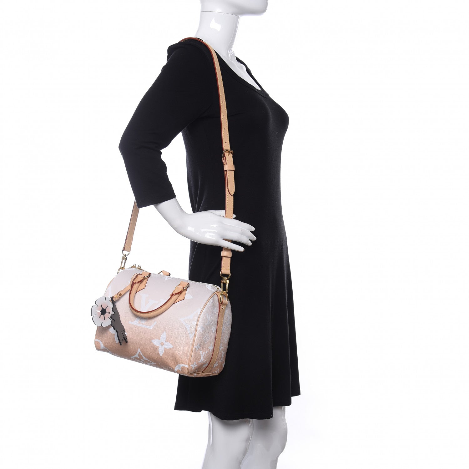 Louis Vuitton Monogram Giant By The Pool Speedy Bandouliere 25 Brume 2 of 10