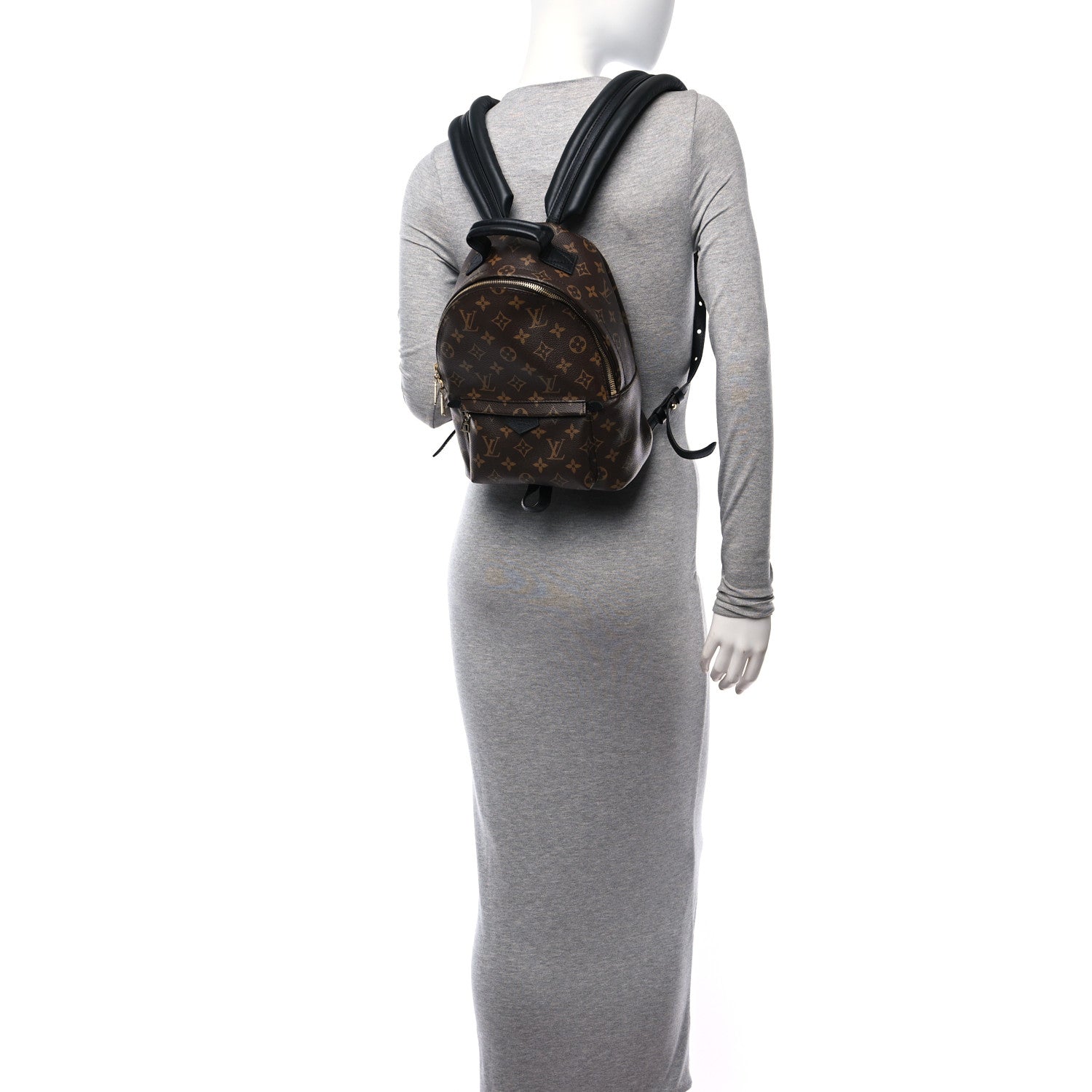 Louis Vuitton Monogram Palm Springs Backpack PM 2 of 11