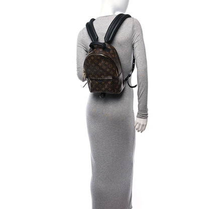 Louis Vuitton Monogram Palm Springs Backpack PM 2 of 11