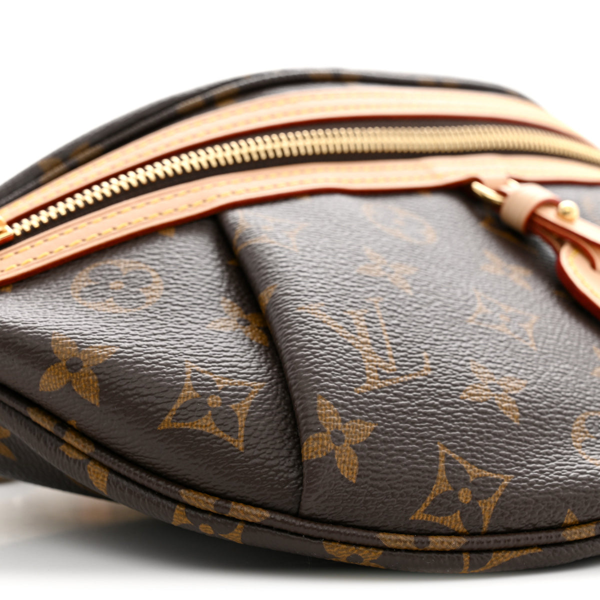 Monogram High Rise Bumbag